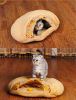 Winter Warm Pet Bed Newly Designed Cat Sleeping Bag