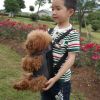 Outdoor Dog Carrier Pet Carriers Backpack Pet Bag Cat Travel Bag, Cute