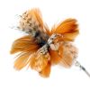 Pet Supplies Cat Sports Appliance Exercise Feather Cat Toy BROWN Funny Cat Stick