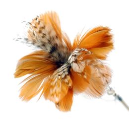Pet Supplies Cat Sports Appliance Exercise Feather Cat Toy BROWN Funny Cat Stick