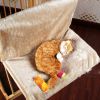 High Grade Solid Soft Dog Cat Pet Bed,Cat Hammock,BEIGE,(18""*12""*10"")
