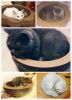 Natural Paper&Wood Cat Scratching Pad New Style Scratcher with Catnip