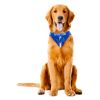 Detroit Lions Dog Bandana- Tie On - Large