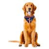 Detroit Lions Dog Bandana- Tie On - Small