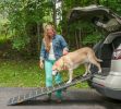 Tri-Fold Pet Ramp Reflective, Extra Wide