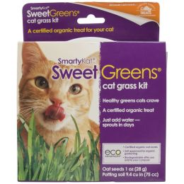 SmartyKat SweetGreens Cat Grass Kit-